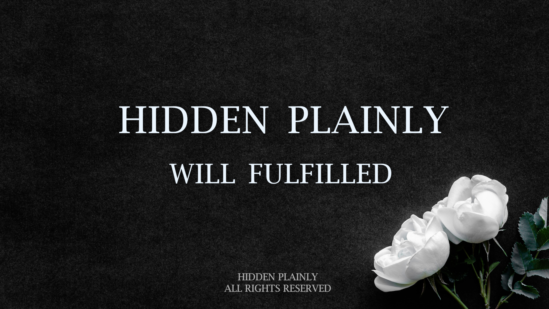 HIDDEN PLAINLY - Will Fulfilled!