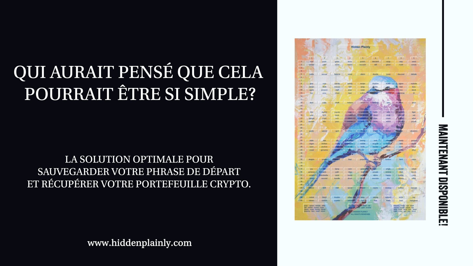 HIDDEN PLAINLY - La solution optimale!