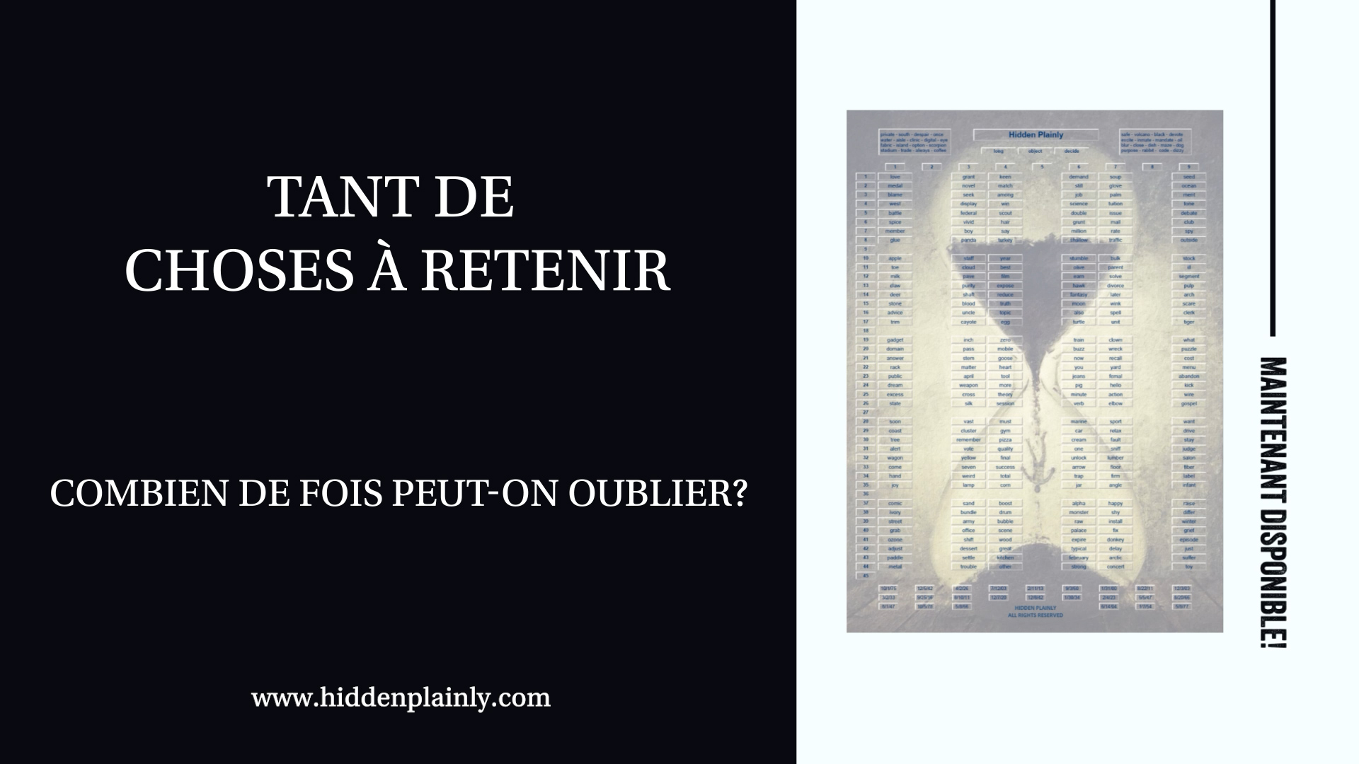 HIDDEN PLAINLY - La solution optimale!